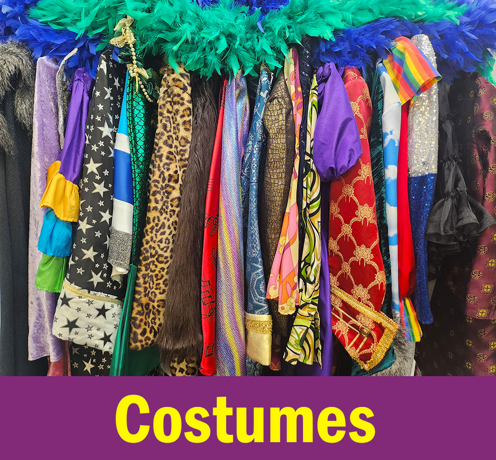 Image is a photo of an extravagant costumes and feathers available from Acting the Part, a costume shop located in Carlingford, Sydney.